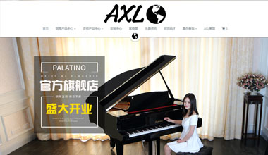 AXL国际乐器